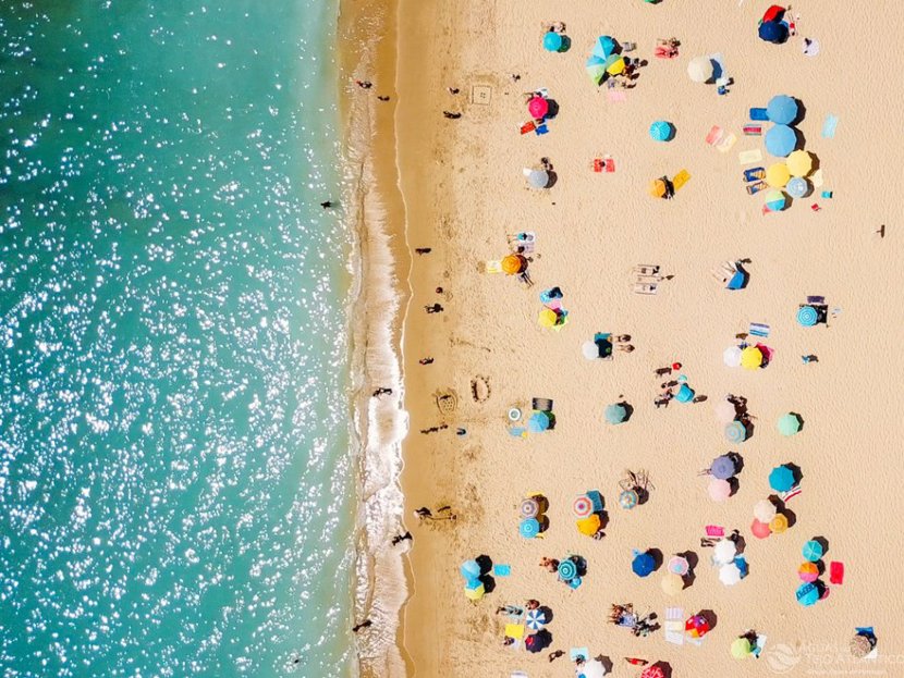 Tejo Atlântico contribui para um Oceano sem poluição, azul e de “ouro”