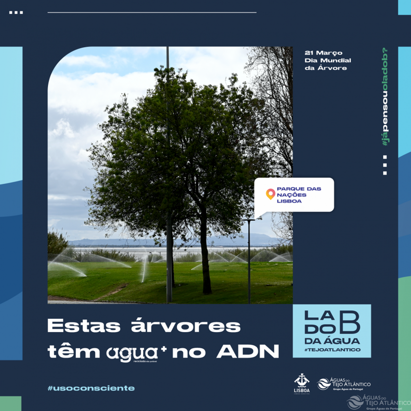 Em Lisboa centenas de árvores têm água+ no seu ADN