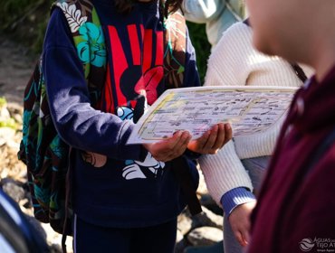Dia Mundial das Zonas Húmidas assinalado pela Tejo Atlântico 