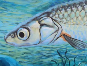 Arte urbana dá visibilidade a um serviço “invisível” 