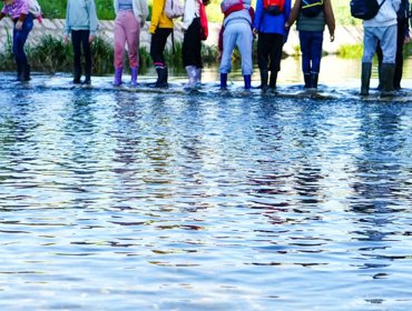 Dia Mundial das Zonas Húmidas assinalado pela Tejo Atlântico 