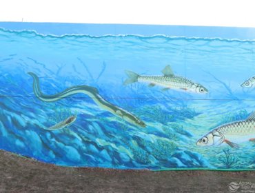 Arte urbana dá visibilidade a um serviço “invisível” 