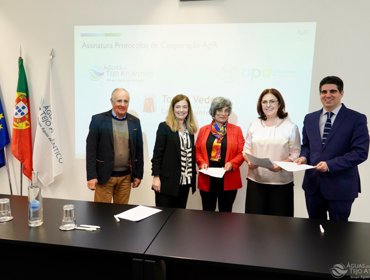 Cinco Selos AgIR de Qualidade Indústria em Evolução entregues às empresas que mais se destacaram no projeto AgIR 