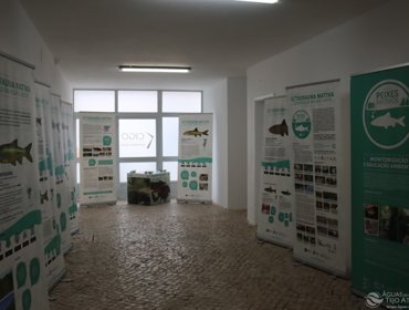Exposição Itinerante "Ictiofauna Nativa dos Rios da Região Oeste" pode ser visitada no Bombarral e em Santarém nos próximos meses 