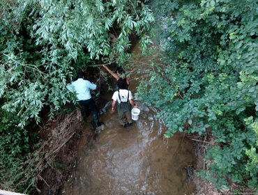 Peixes em perigo de extinção voltam ao meio natural 