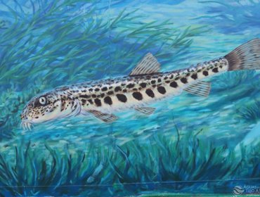 Arte urbana dá visibilidade a um serviço “invisível” 