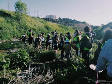 Contributo na conservação do rio Jamor 