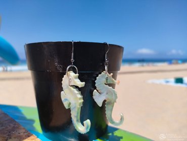 REplasticAR para despoluir o mar e renovar o plástico 