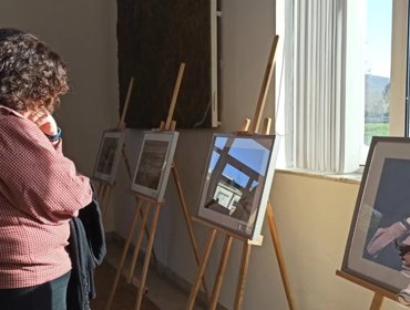 Exposição “Aves aquáticas da Lagoa de Óbidos" 