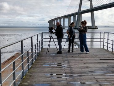 De olhos nas Aves em Beirolas, dia 1 de novembro 