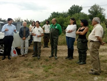 Peixes em perigo de extinção voltam ao meio natural 