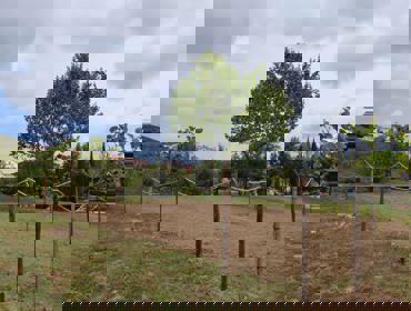 GESTEAUR_ AQUALIA E TEJOATLANTICO.jpg