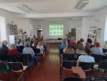 Tejo Atlântico investe na formação contínua de professores 