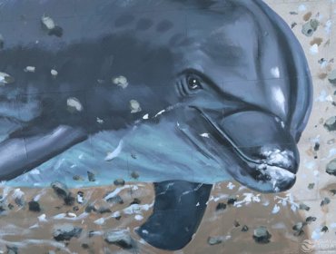 Golfinhos “mergulham” nas infraestruturas da Tejo Atlântico 