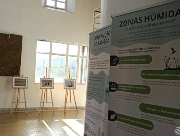 Exposição “Aves aquáticas da Lagoa de Óbidos" 